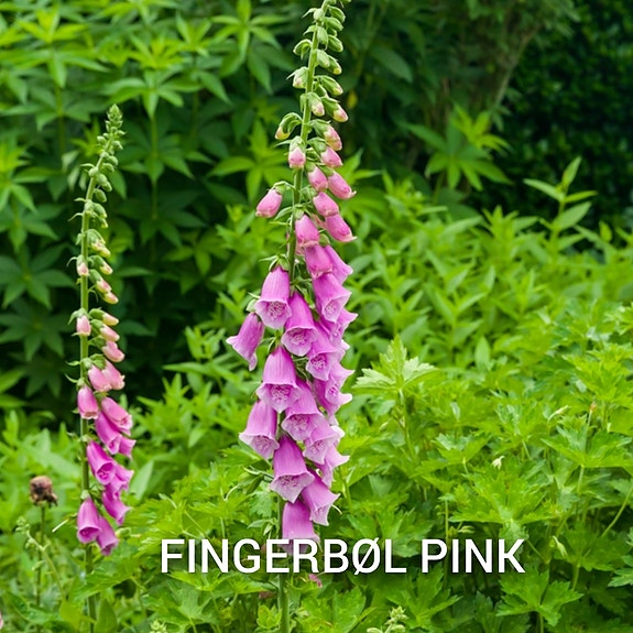 Product image 45 of 64