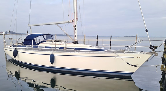 Dynamic 37