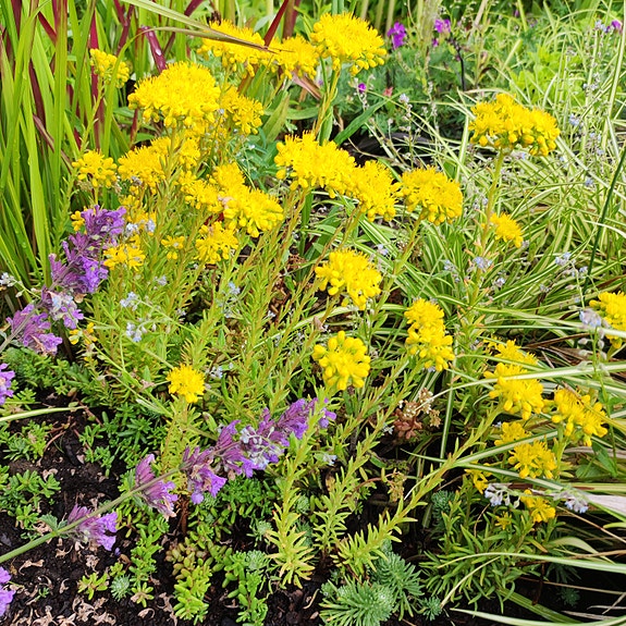 Product image 42 of 100