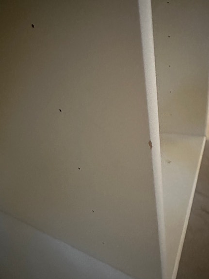 Product image 11 of 11