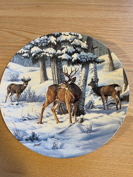 Product image 12 of 16