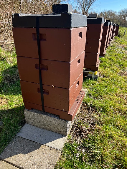 Product image 1 of 10