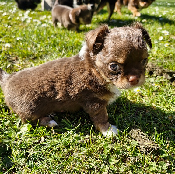 Product image 3 of 7