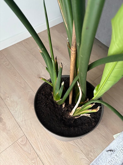 Product image 11 of 11