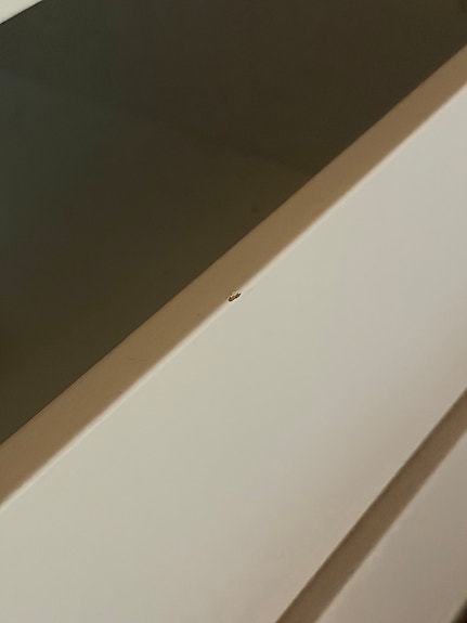 Product image 14 of 24