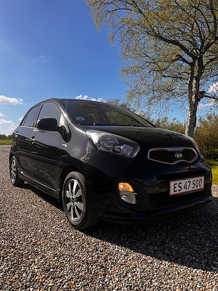 Kia Picanto til salg hos Nabilli