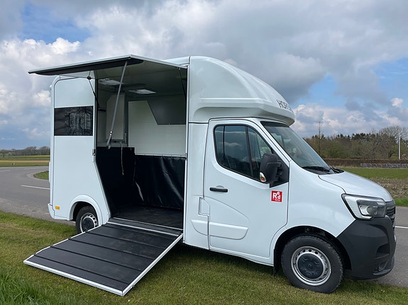 Renault Master - Hestetransporter