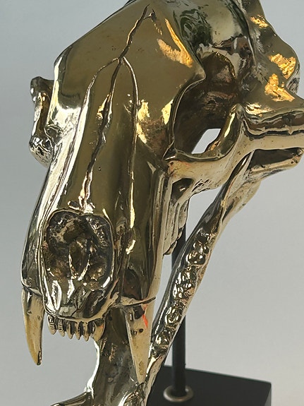 Product image 14 of 15