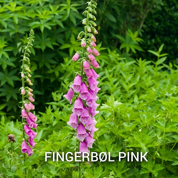 Product image 72 of 97