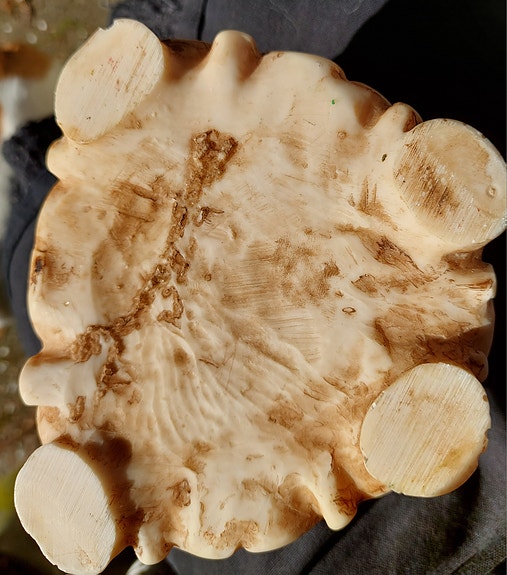 Product image 15 of 15