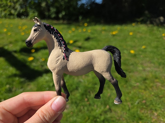 Product image 17 of 41