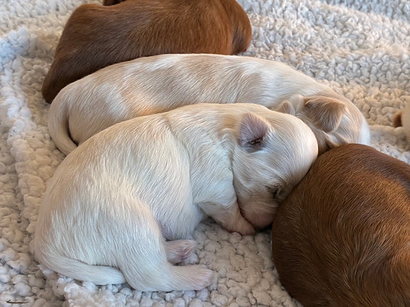 Product image 11 of 16