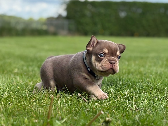 Product image 14 of 17