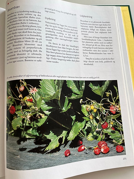 Product image 11 of 12