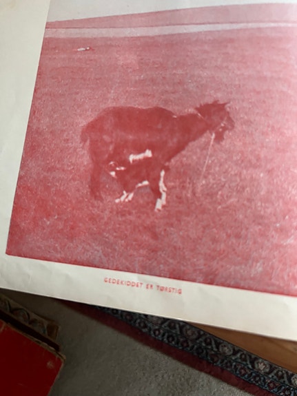 Product image 21 of 26