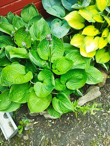 Product image 19 of 28