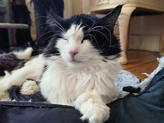 Product image 23 of 23