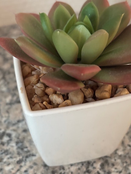 Product image 18 of 22