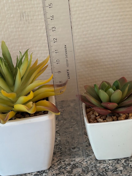 Product image 22 of 22