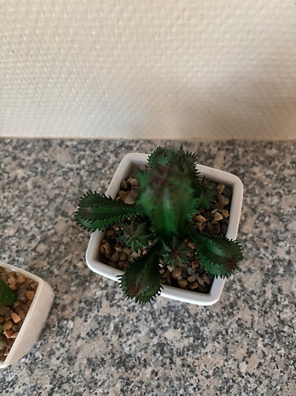 Product image 15 of 22