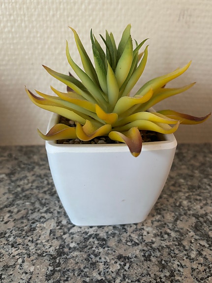 Product image 12 of 22