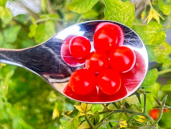 Product image 19 of 52