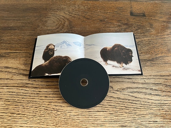 Product image 3 of 8