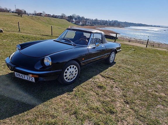 Alfa Romeo Spider til salg hos Nabilli