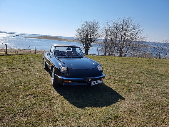 Alfa Romeo Spider til salg hos Nabilli