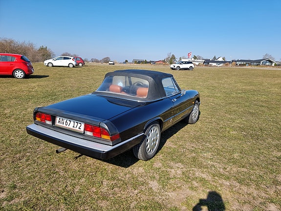 Alfa Romeo Spider til salg hos Nabilli
