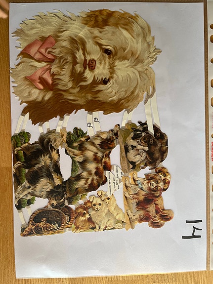 Product image 14 of 24