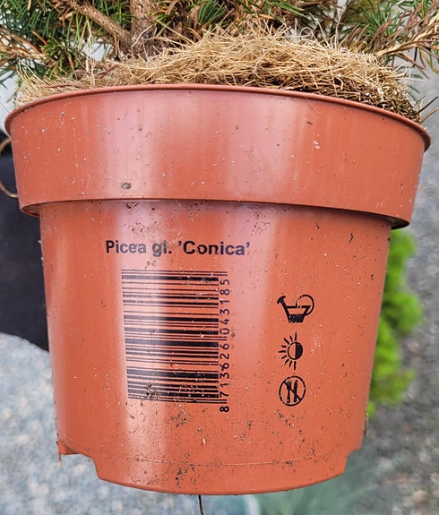 Product image 3 of 9