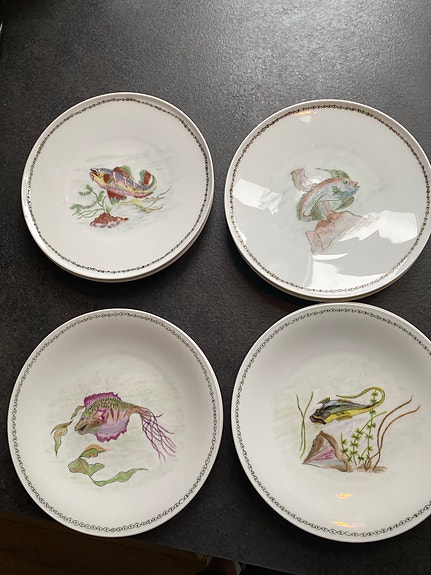 Product image 6 of 13