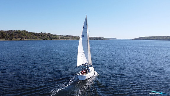 Arcona 36