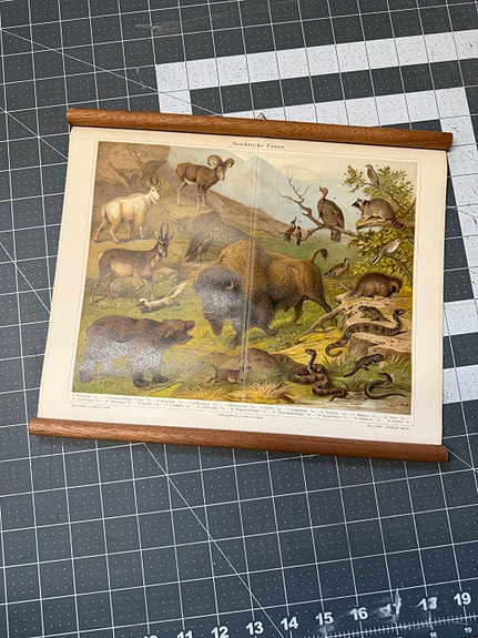 Product image 13 of 14