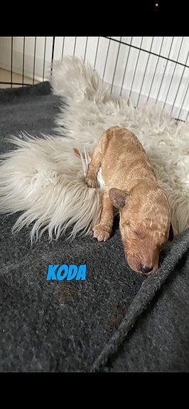 Product image 23 of 31