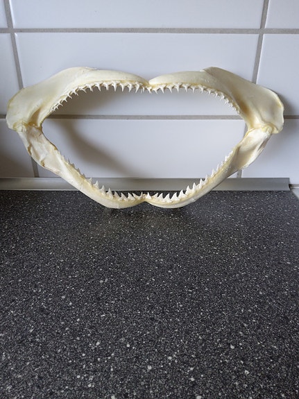Product image 12 of 12
