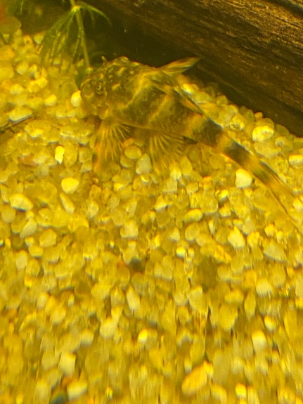 Product image 19 of 20