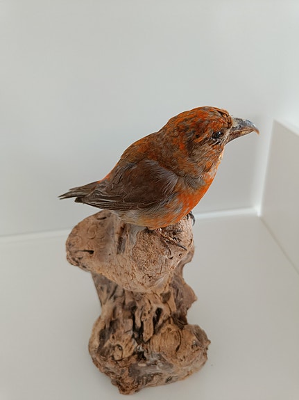 Product image 11 of 14