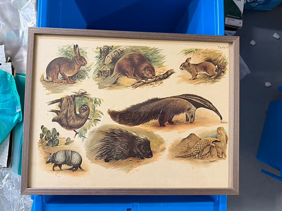 Product image 22 of 22
