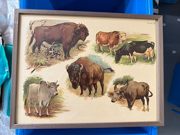 Product image 21 of 22
