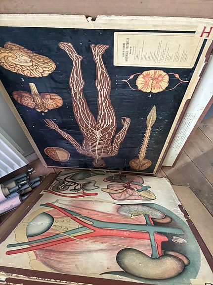 Product image 18 of 20