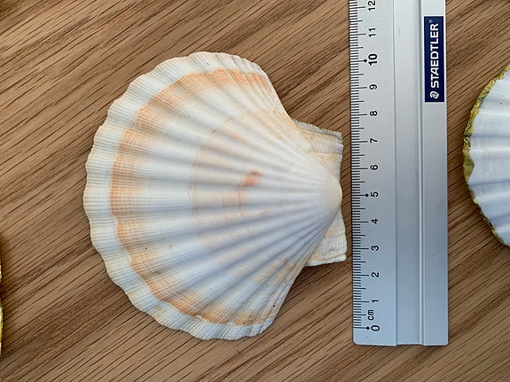 Product image 21 of 21