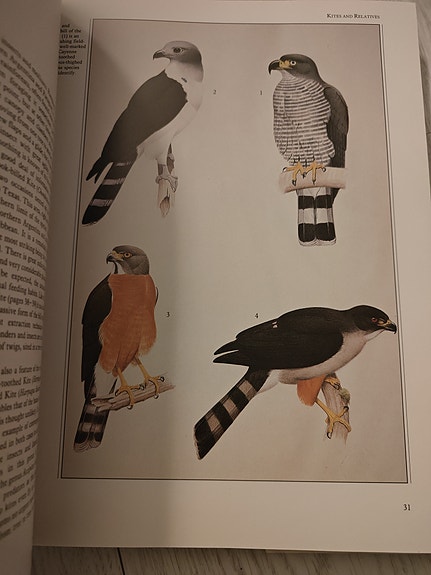 Product image 16 of 18