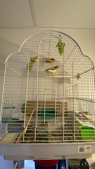 Product image 11 of 17