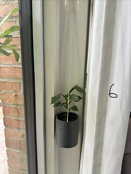 Product image 16 of 20