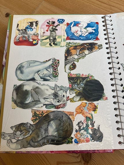 Product image 14 of 17