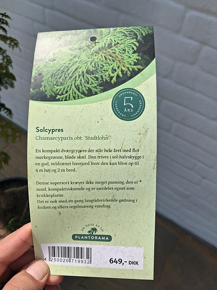 Product image 6 of 6