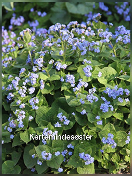 Product image 94 of 94