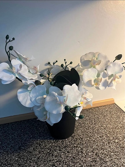 Product image 3 of 19